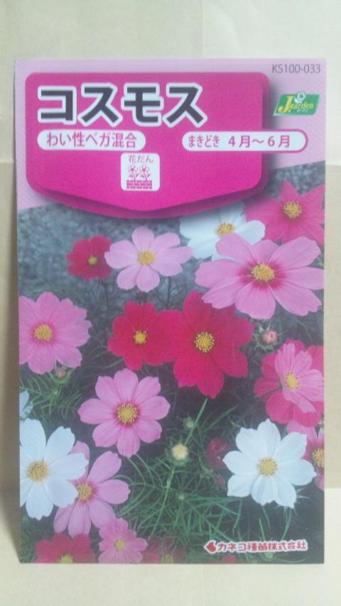 国内正規品 種子 処分 コスモス サイケ混合 カネコ種苗 22.11 コラレット型の花が多数咲きます ゆうパケット便可能 