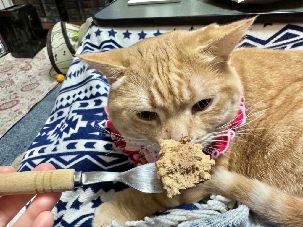 全体のレビュー画像 | 1-2