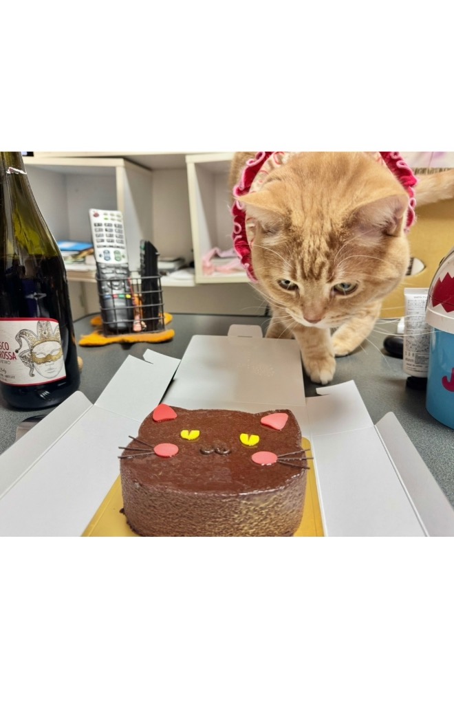 全体のレビュー画像 | 1-2