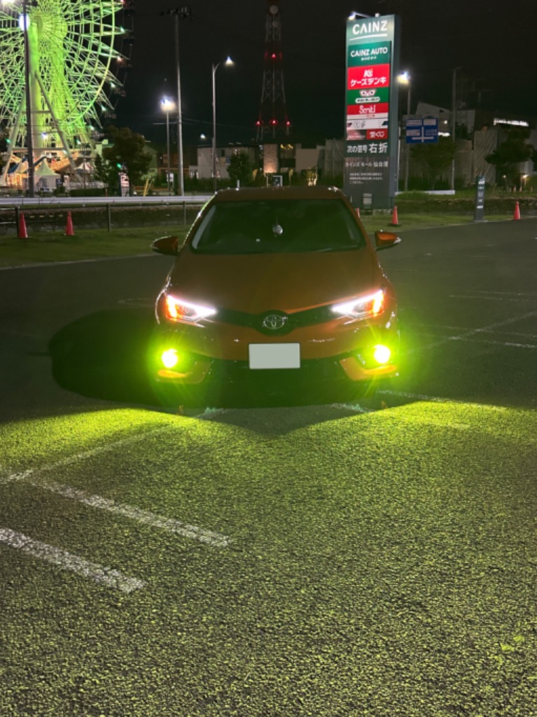 レビュー画像