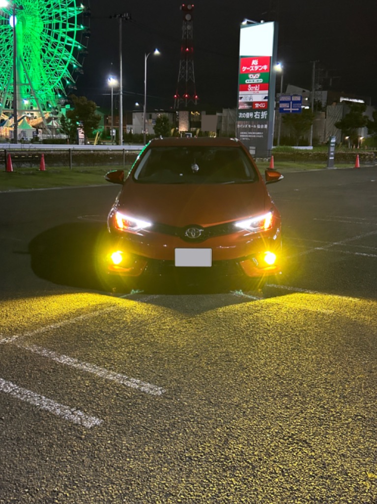 レビュー画像