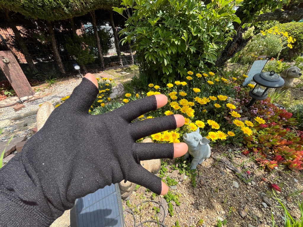 7件目のレビュー画像 | 0