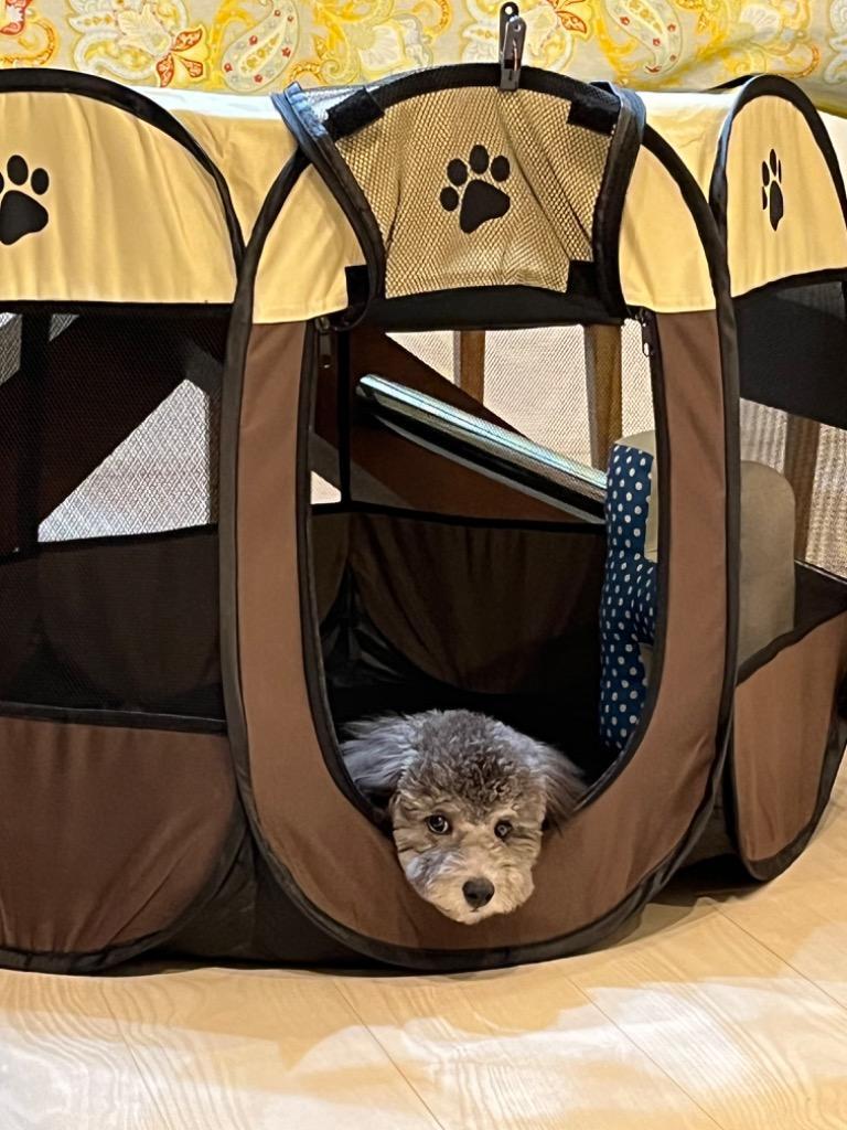 ペットサークル(キャンプの時などにも！) ペット用 折り畳みケージ M ペットサークル 専用ケース付き 屋外ゲージ