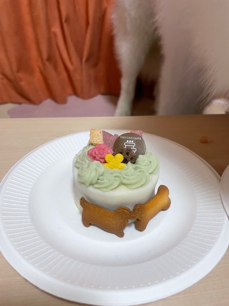 2件目のレビュー画像 | 1