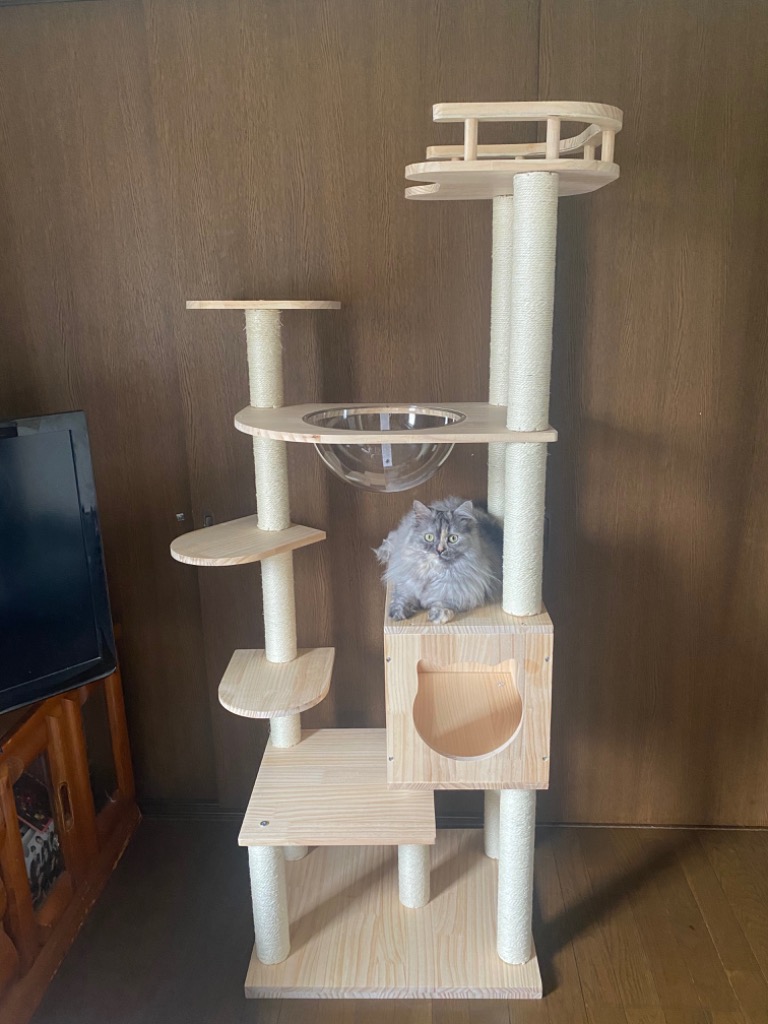 在庫一掃 キャットタワー 据え置き 宇宙船 可愛い 木製 麻紐 スリム 猫