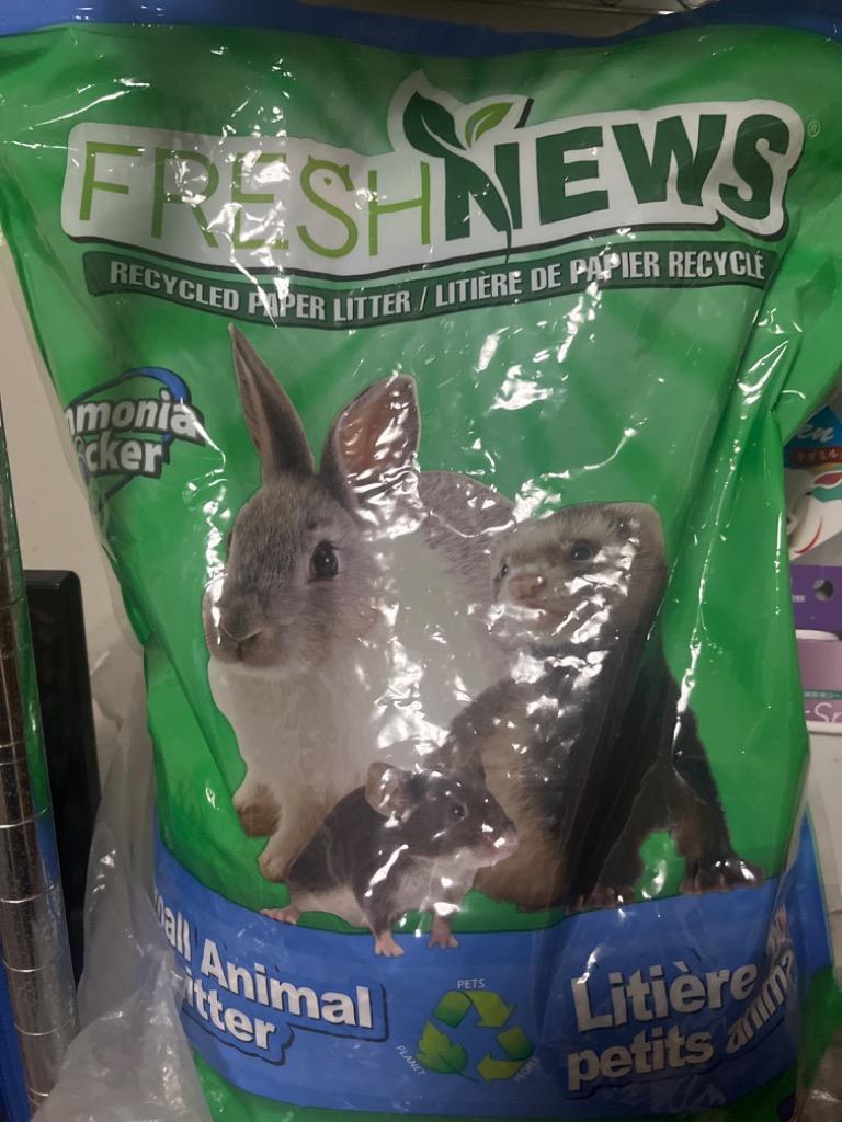 フェレット トイレ砂 フレッシュニュースリター 小動物用 10L