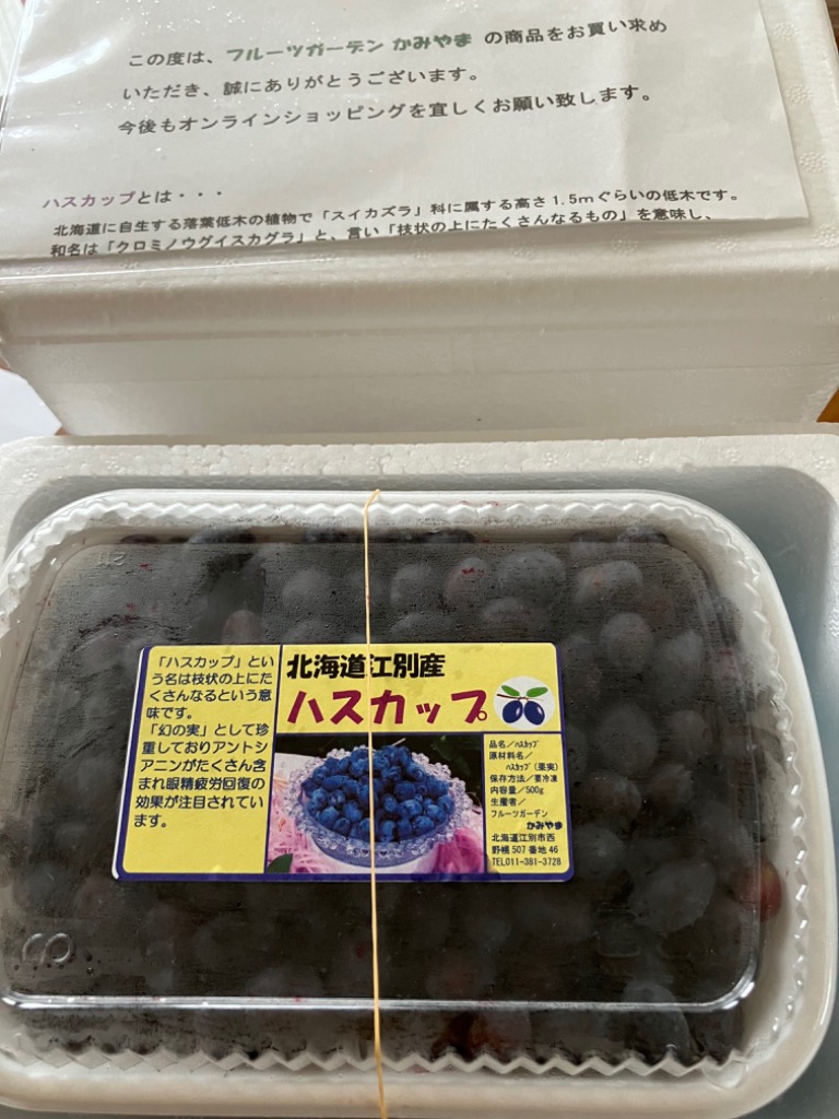 北海道の果実　令和6年収穫ハスカップ（冷凍）５００ｇ×２個