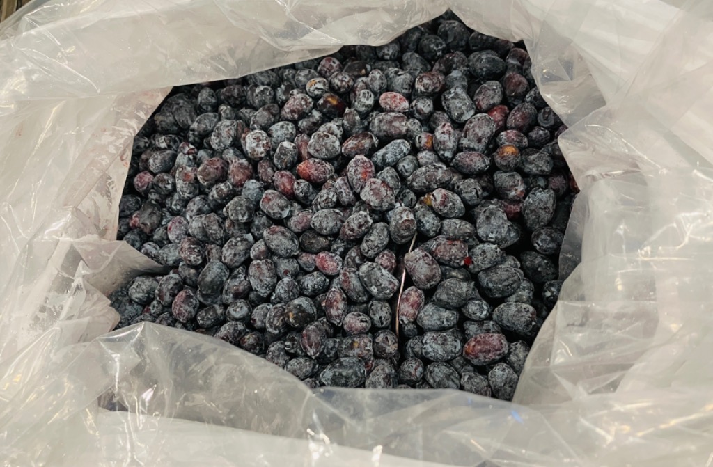 【2025年産】新鮮　ハスカップ　冷凍　5kg　送料込み 2025年産】新鮮 ハスカップ 冷凍 5kg 送料込み （北海道十勝産