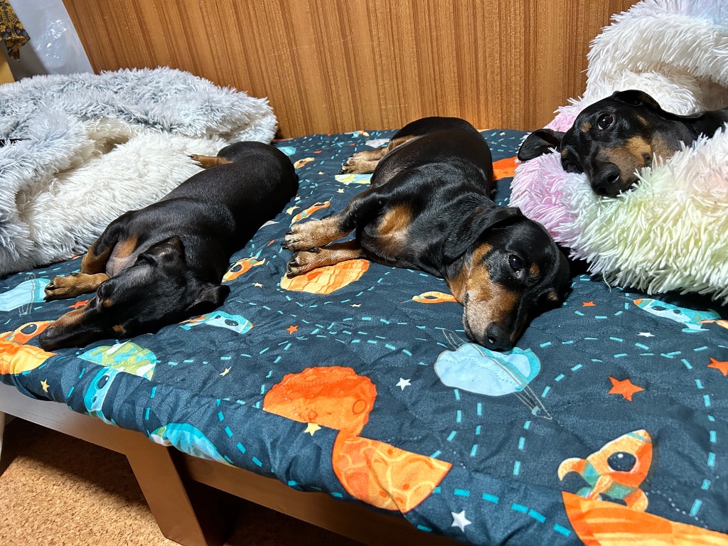 1件目のレビュー画像 | 0