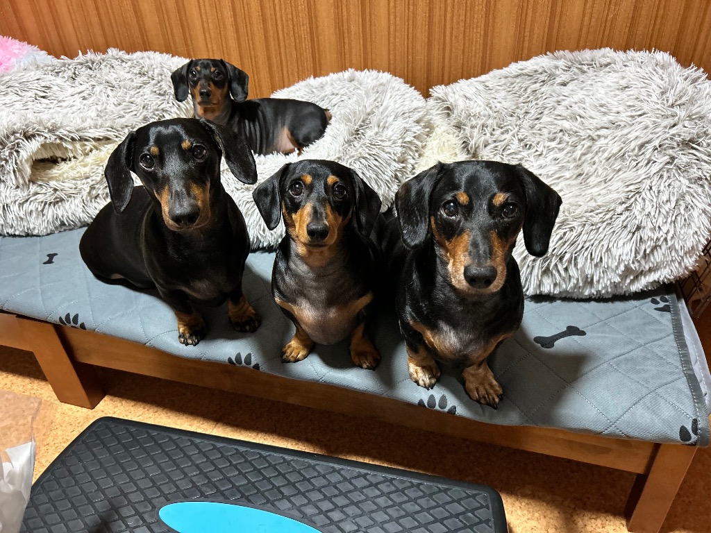 1件目のレビュー画像 | 1