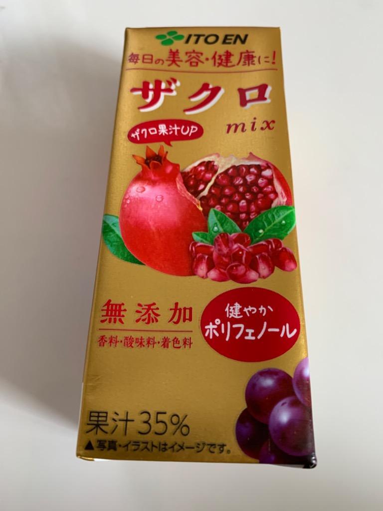 伊藤園 ザクロmix 200ml×48本 (24本×2ケース) 紙パック (送料