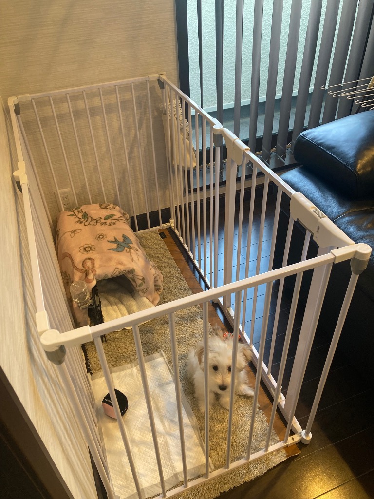 VENTOTA ペット用サークル ドア付 折りたたみ可能 犬 猫 うさぎ VENTOTA ペット用サークル ドア付 折りたたみ可能 犬 猫 うさぎ