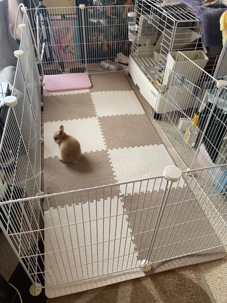 ペット 用 フェンス ドア 付 室内 サークル 広い ケージ ゲート 犬 猫 