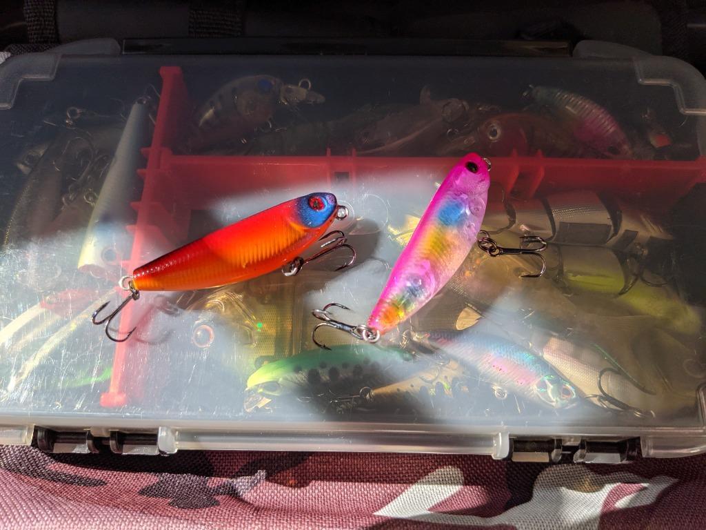 ずんぐり ペンシルベイト 5cm 5.5g 5色セット 小型 バス釣り 秒速10cm程度で沈降 管理釣り場 海のトップゲーム エリア ブラックバス  :kogatapencil:雪見堂Yahoo!店 - 通販 - Yahoo!ショッピング