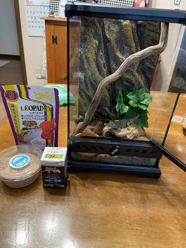 ジェックス エキゾテラ グラステラリウム ナノ - 最安値・価格比較