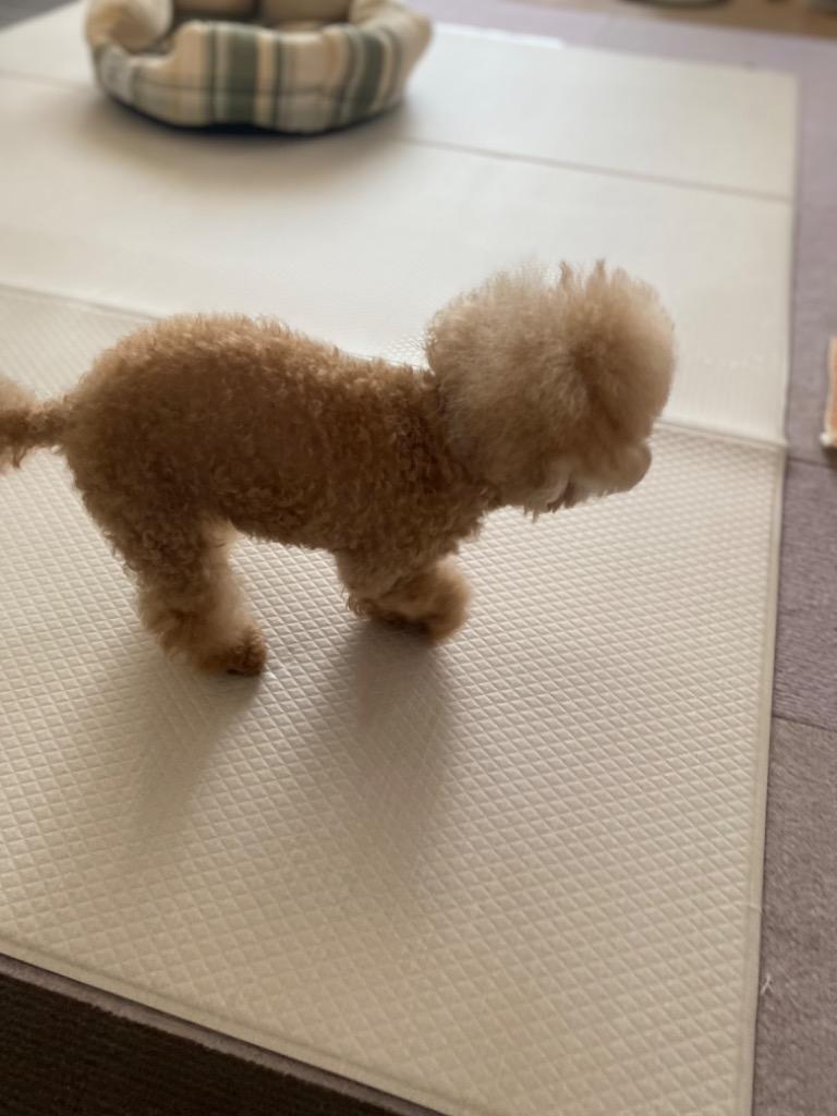 1件目のレビュー画像 | 0