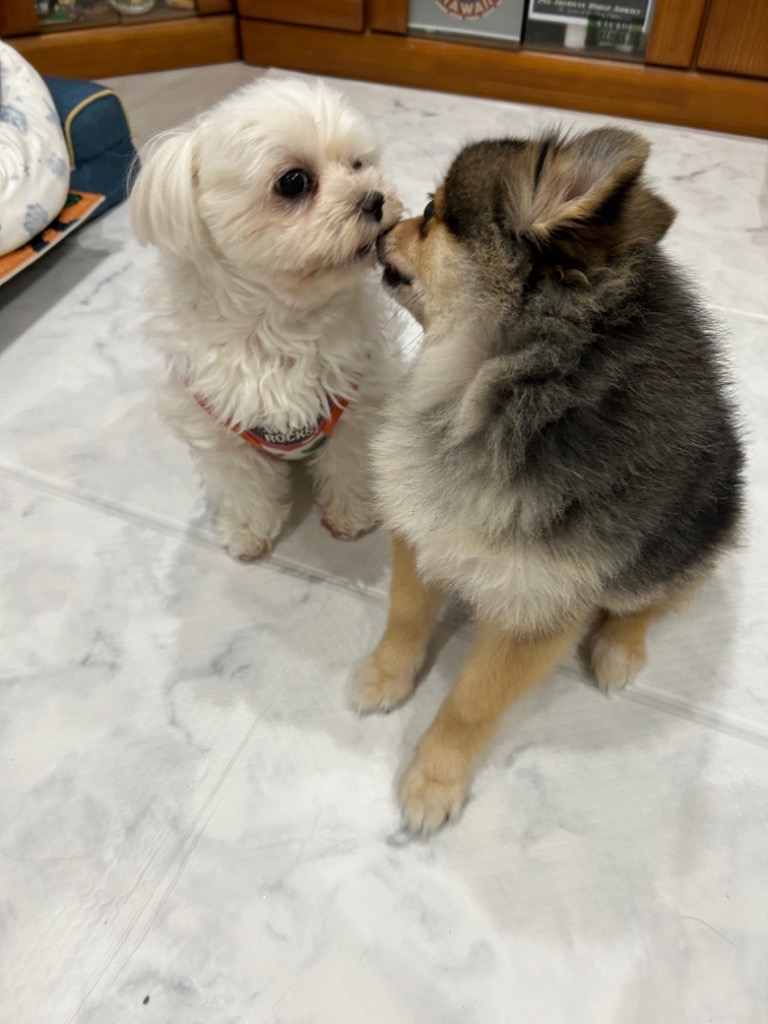 全体のレビュー画像 | 0-0