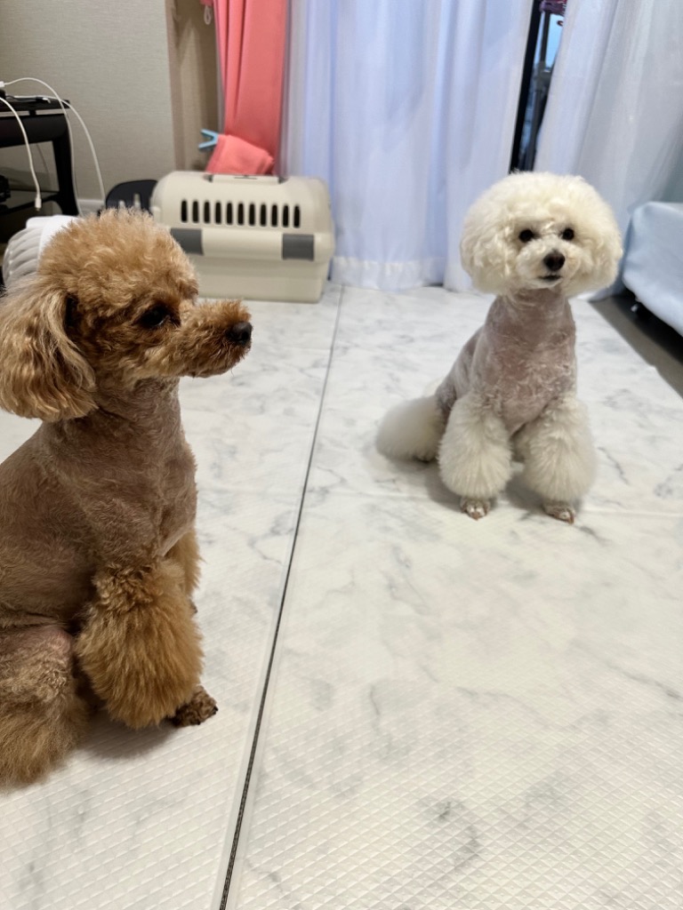 3件目のレビュー画像 | 0