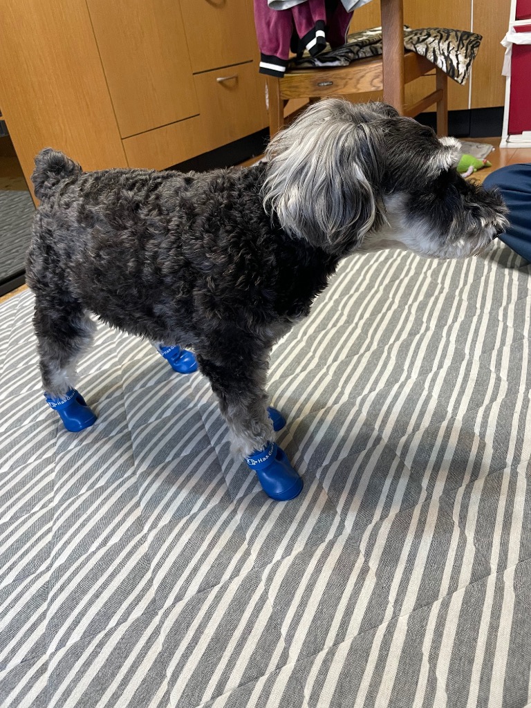 全体のレビュー画像 | 1-0