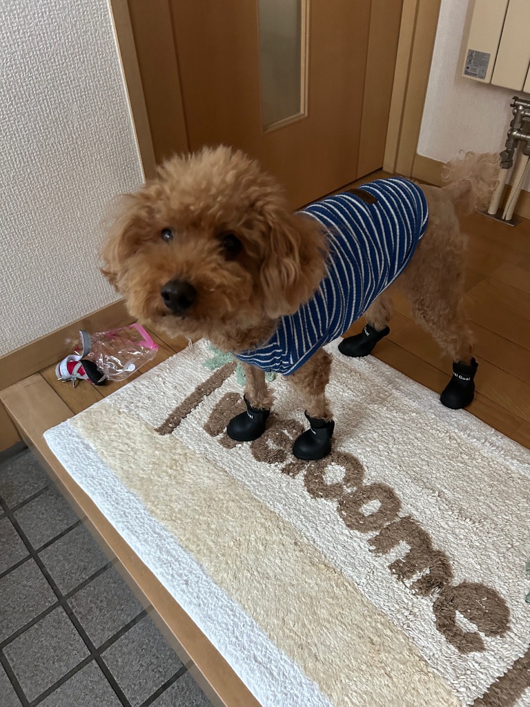 全体のレビュー画像 | 0-0