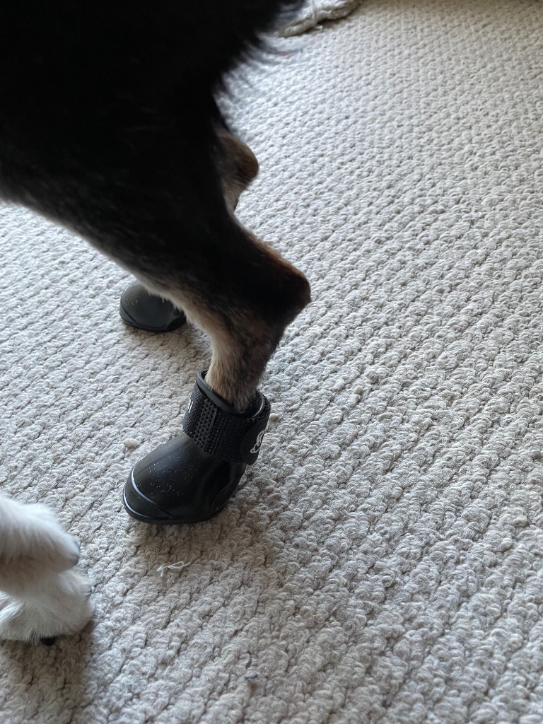 全体のレビュー画像 | 3-0