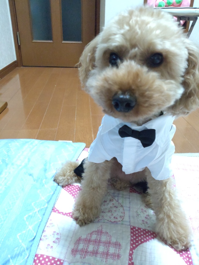 全体のレビュー画像 | 1-0