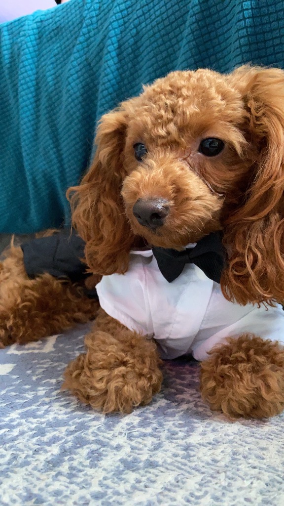 全体のレビュー画像 | 0-0