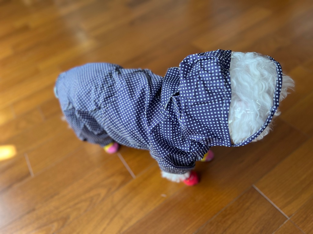 全体のレビュー画像 | 0-0