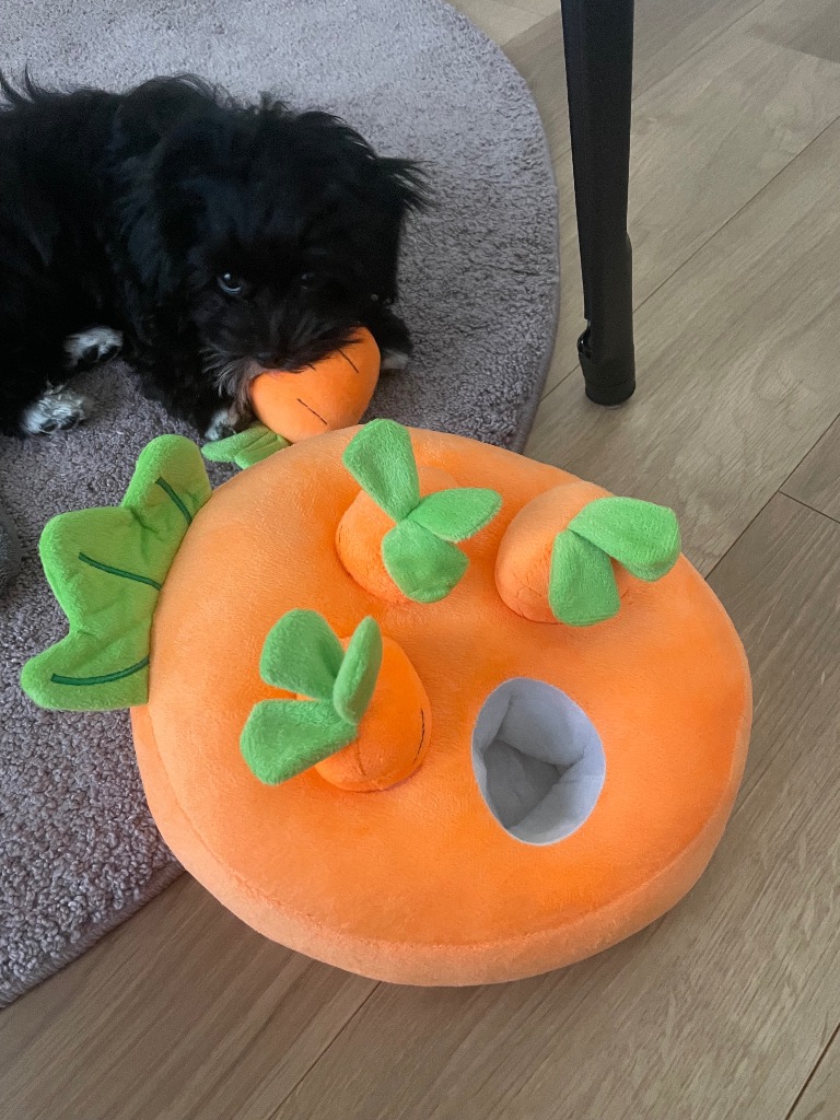 全体のレビュー画像 | 0-0