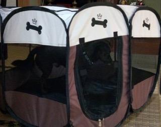 全体のレビュー画像 | 6-0