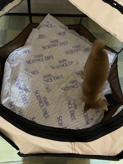 全体のレビュー画像 | 0-0