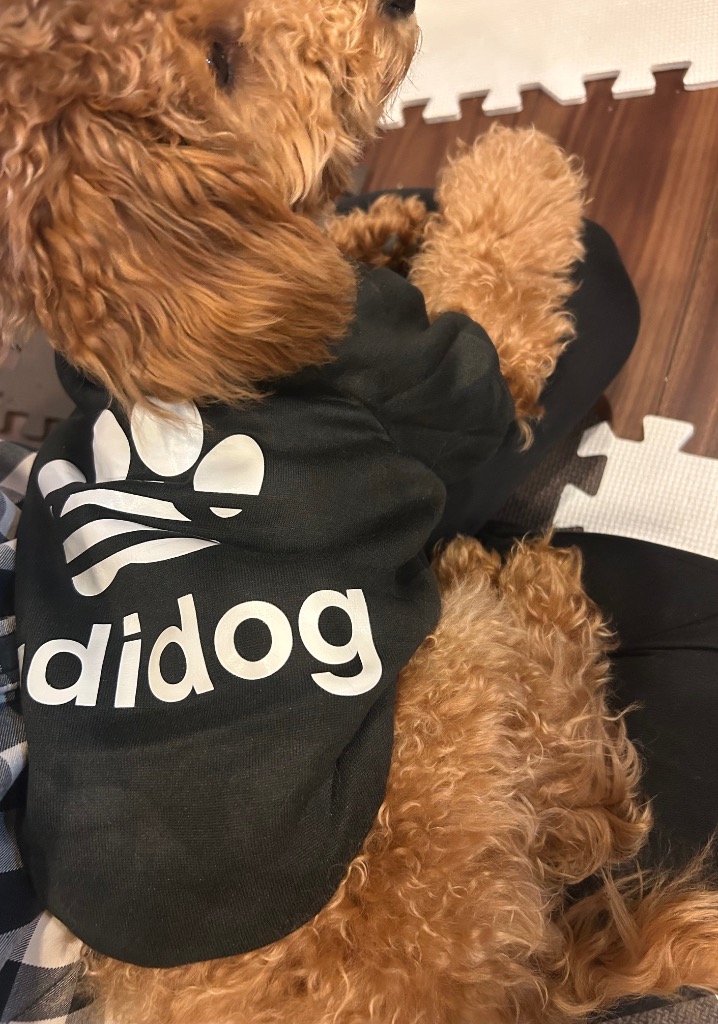 全体のレビュー画像 | 0-0