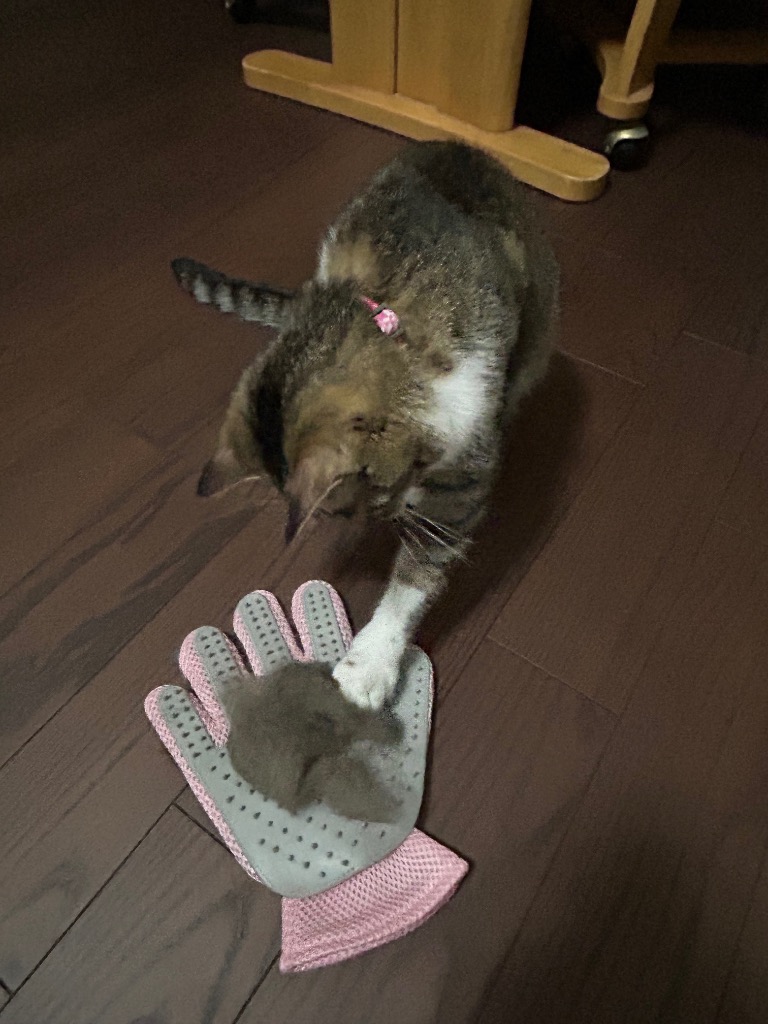 全体のレビュー画像 | 1-0