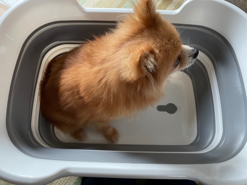 全体のレビュー画像 | 3-0