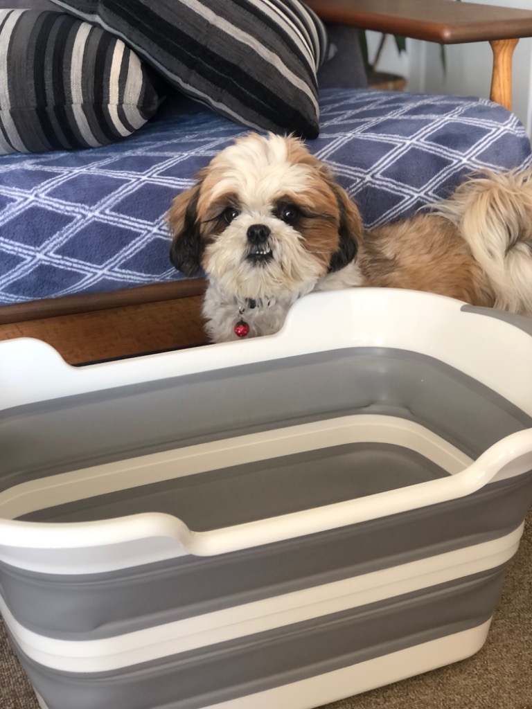 全体のレビュー画像 | 0-2