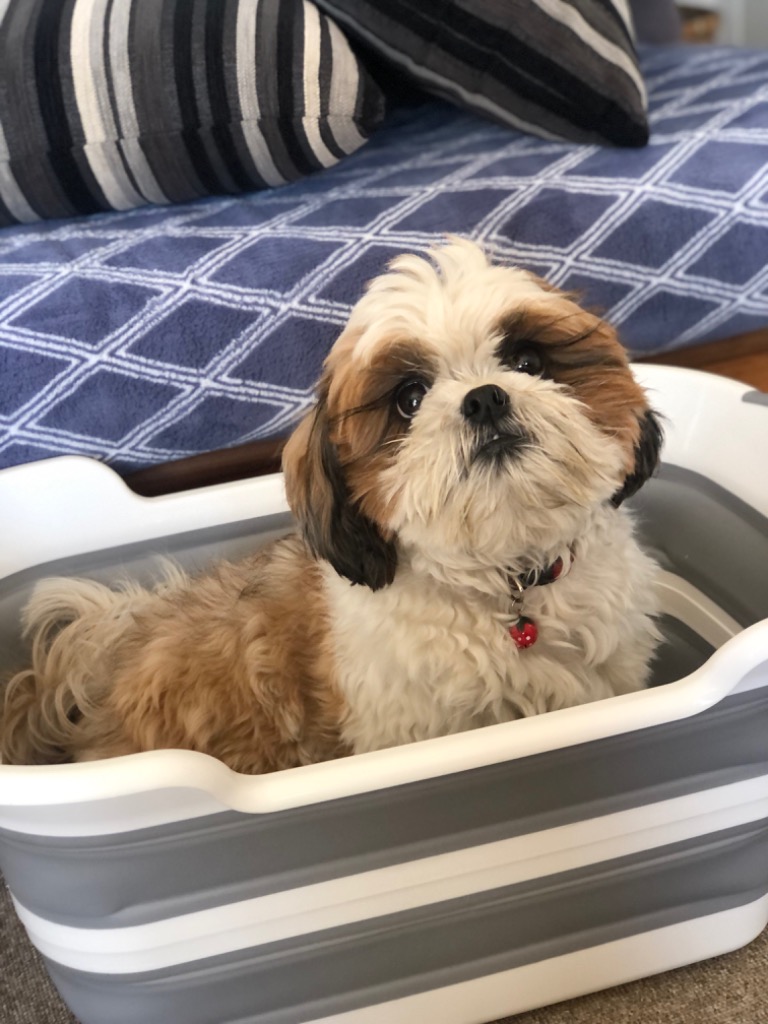 全体のレビュー画像 | 0-1