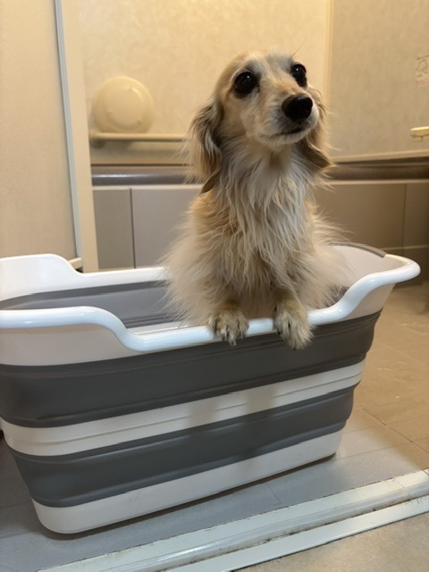 全体のレビュー画像 | 1-2