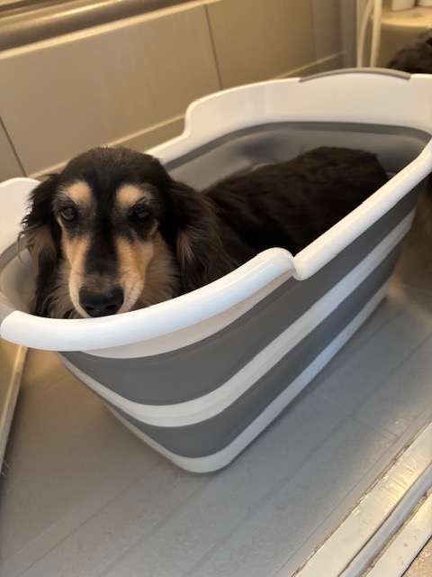 全体のレビュー画像 | 1-1