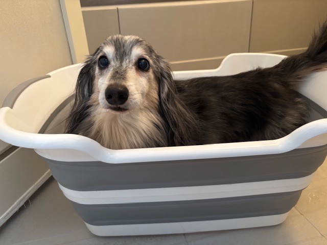 全体のレビュー画像 | 1-0