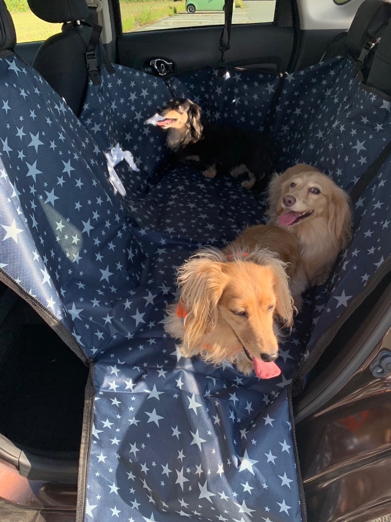 1件目のレビュー画像 | 1