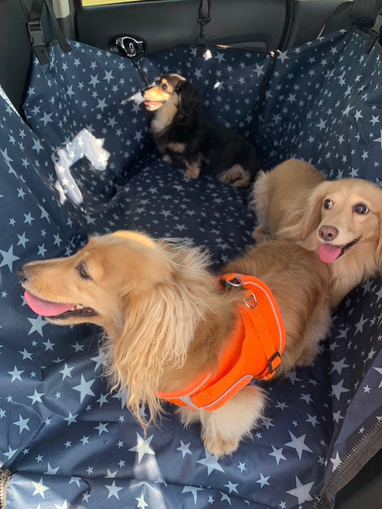 1件目のレビュー画像 | 0