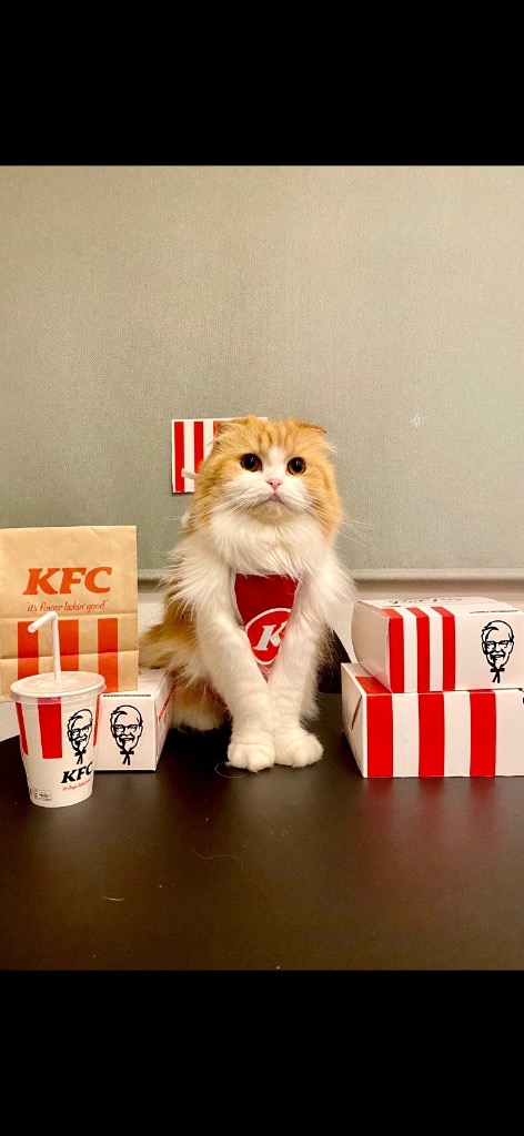 1件目のレビュー画像 | 0