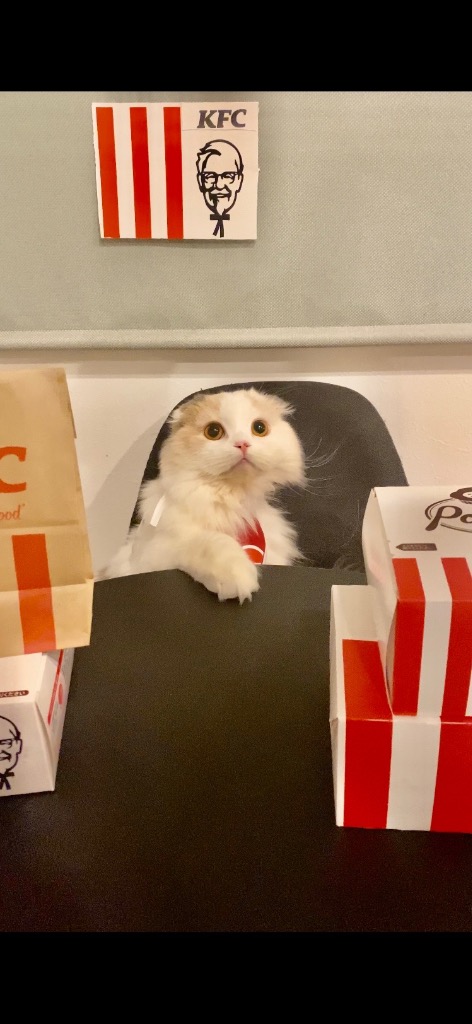 1件目のレビュー画像 | 1