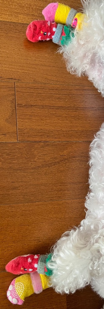 全体のレビュー画像 | 0-1