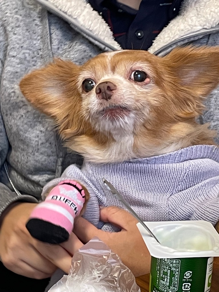 全体のレビュー画像 | 0-0