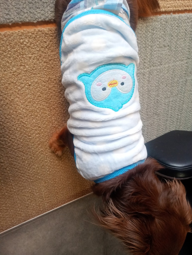 レビュー画像
