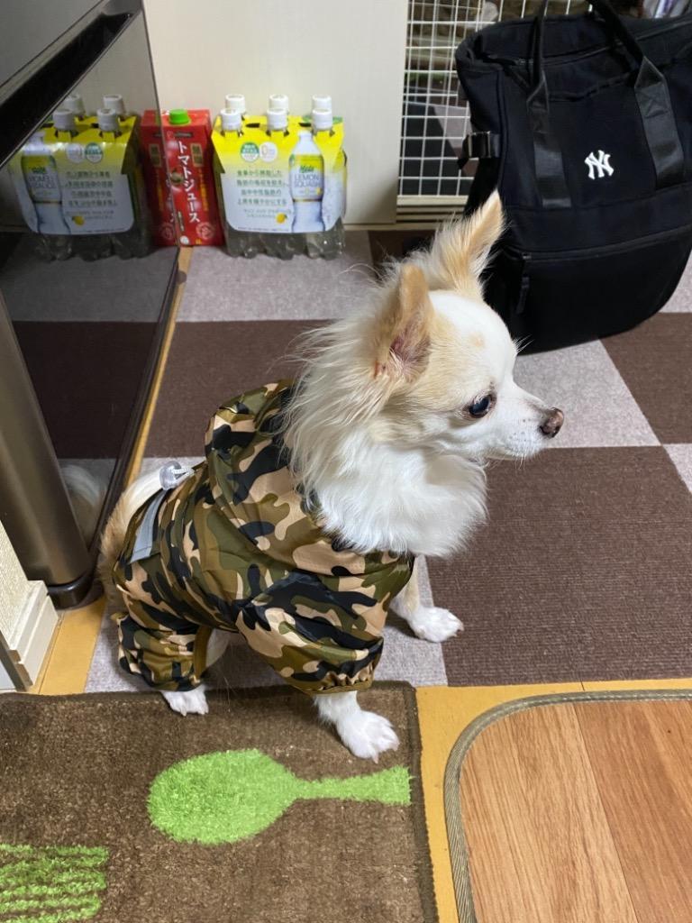 レビュー画像
