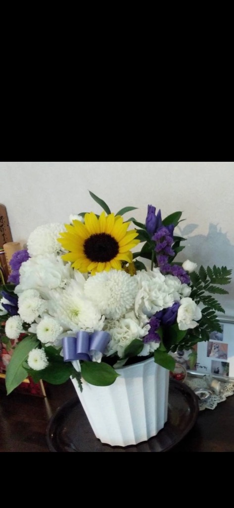 全体のレビュー画像 | 7-0