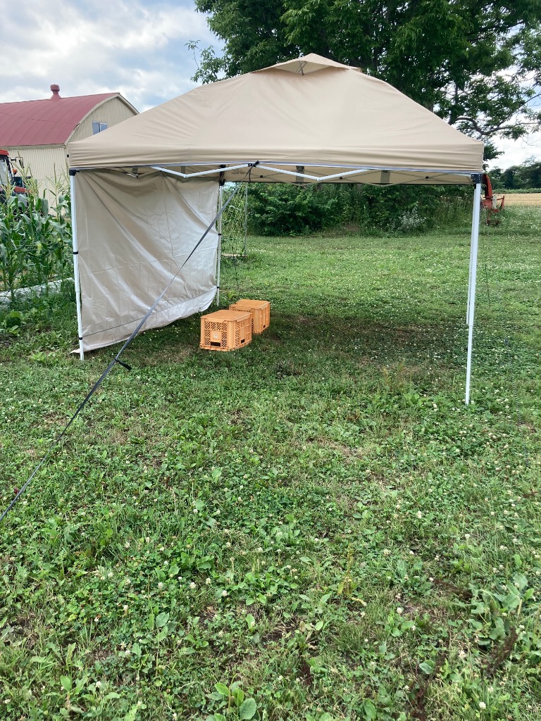 全体のレビュー画像 | 0-1