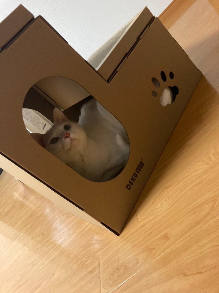 全体のレビュー画像 | 6-1